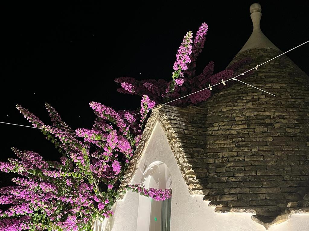 Trulli Harmonia Con Piscina - Αλμπερομπέλο Εξωτερικό φωτογραφία